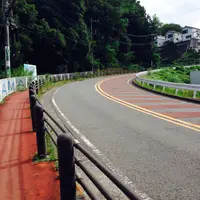 いろは坂の写真・動画_image_113665