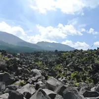 鬼押出しの写真・動画_image_113879