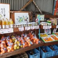 【閉業】山清青果の写真・動画_image_114129