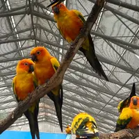 掛川花鳥園の写真・動画_image_1142002