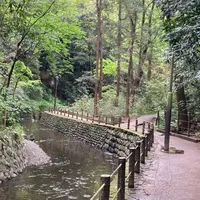 等々力渓谷の写真・動画_image_1142068