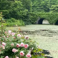 軽井沢レイクガーデンの写真・動画_image_1142181