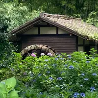 府中 郷土の森の写真・動画_image_1142188