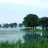 湖北野鳥センターの写真・動画_image_114271