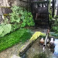 生水の郷の写真・動画_image_114280