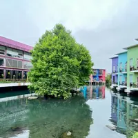 水岸森林の写真・動画_image_1142833