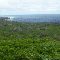 高那崎の写真・動画_image_114404