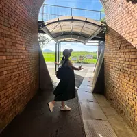 トロッコ亀岡駅の写真・動画_image_1144882