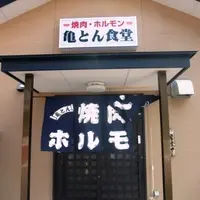亀とん食堂の写真・動画_image_114507