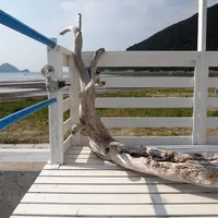 アラモアナサンセットカフェの写真・動画_image_114834