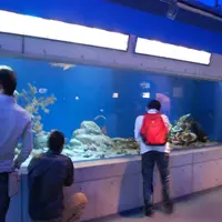 沼津港深海水族館の写真・動画_image_114855