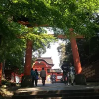 宇佐神宮の写真・動画_image_114979