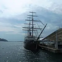 うずしお観潮船（咸臨丸）の写真・動画_image_114989