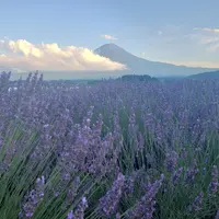 大石公園の写真・動画_image_1152065