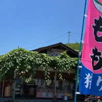 内田フルーツ農園の写真・動画_image_1153285