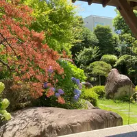 ホテル新光の写真・動画_image_1153309