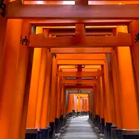 伏見稲荷大社の写真・動画_image_1154161