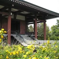 中宮寺の写真・動画_image_115564