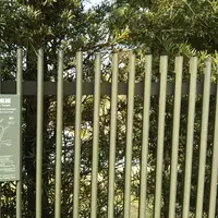 名勝旧大乗院庭園の写真・動画_image_1156434