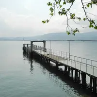 海津大崎の写真・動画_image_115661