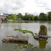猿沢池の写真・動画_image_115806