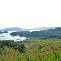 大浦棚田の写真・動画_image_115907