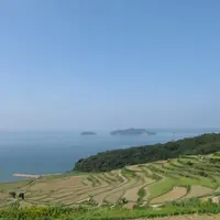 土谷棚田の写真・動画_image_115911