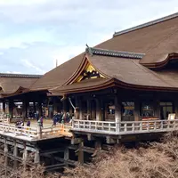 清水寺の写真・動画_image_1159255