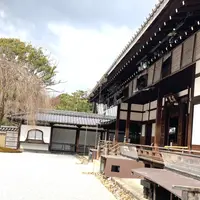 高台寺の写真・動画_image_1159263