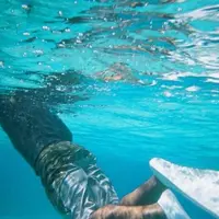 ナガンヌ島の写真・動画_image_115944