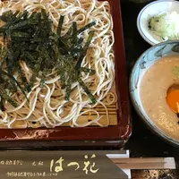 はつ花 本店の写真・動画_image_1160870