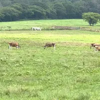 ひるぜんジャージーランドの写真・動画_image_1162784