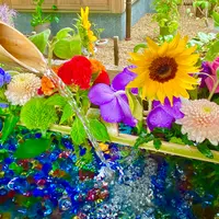 勝林寺の写真・動画_image_1163017