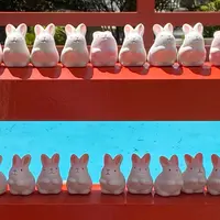 岡崎神社の写真・動画_image_1163857