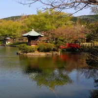定光寺の写真・動画_image_116440