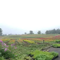 那須フラワーワールドの写真・動画_image_1165791