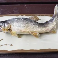 那須観光やなの写真・動画_image_1165798