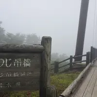 つつじ吊橋の写真・動画_image_1165813
