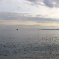 御幸の浜の写真・動画_image_116584