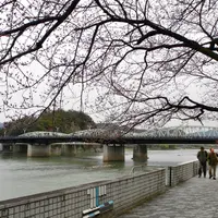 木曽川リバーサイドの写真・動画_image_116639