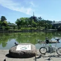 猿沢池の写真・動画_image_116775