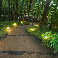 山水閣の写真・動画_image_116793