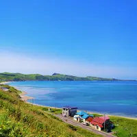 礼文島の写真・動画_image_116819