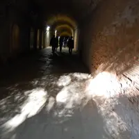 猿島の写真・動画_image_117055