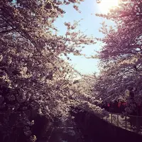 京王電鉄 高井戸駅の写真・動画_image_117165