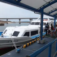 佐久島行船のりばの写真・動画_image_117190