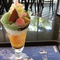 神椿の写真・動画_image_1172404