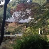 長岳寺の写真・動画_image_117358