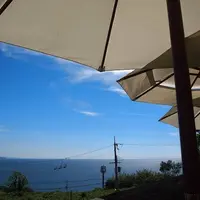 アルゴの写真・動画_image_117428