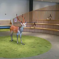 登大路バスターミナルの写真・動画_image_1174537